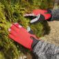 Preview: Damen-Gartenhandschuh Gr.8 Rot, Spandex, Klettverschluss
