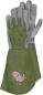 Preview: Rose Rosenhandschuh Olive Gr.8 Kunstleder, extra lange Stulpe vorne