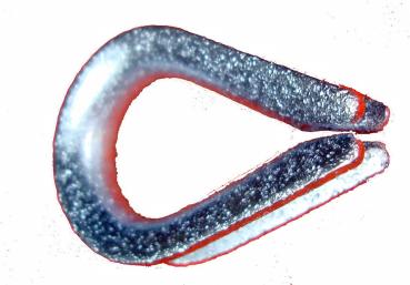 Seilkausche 3mm verzinkt vorne