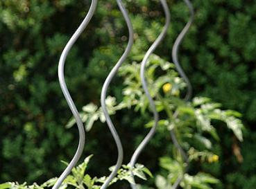 Pflanzstäbe Spirale vorne