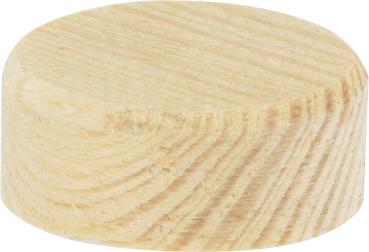 Konusplättchen 15x10mm, 40Stck Kiefer, angefast vorne