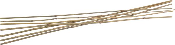 Tonkinstäbe 60cm  10 Stck/Bund vorne