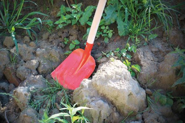 Holsteiner Schaufel 25x27cm m.Buchenstiel, rot lack.