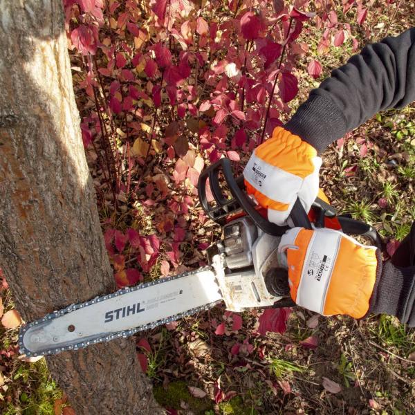 Schnittschutz, Forsthandschuh Gr. 10