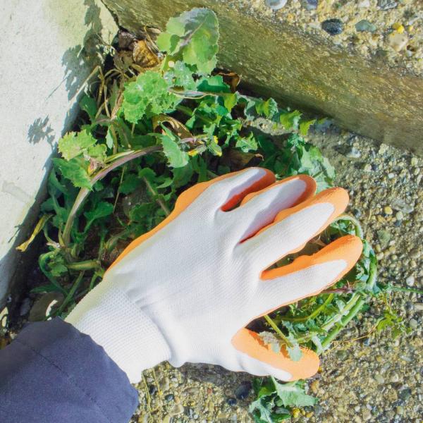 Passion, Nylonhandschuh Latex Gr.8, rosa/weiß