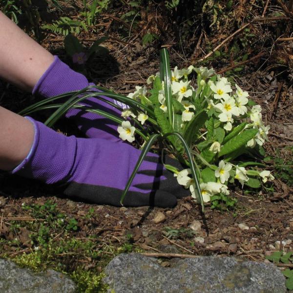 Viola 341 Gartenhandschuh Gr.10, Nylon, Nitrilbes., 15G