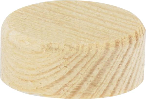 Konusplättchen 15x10mm, 40Stck Kiefer, angefast vorne