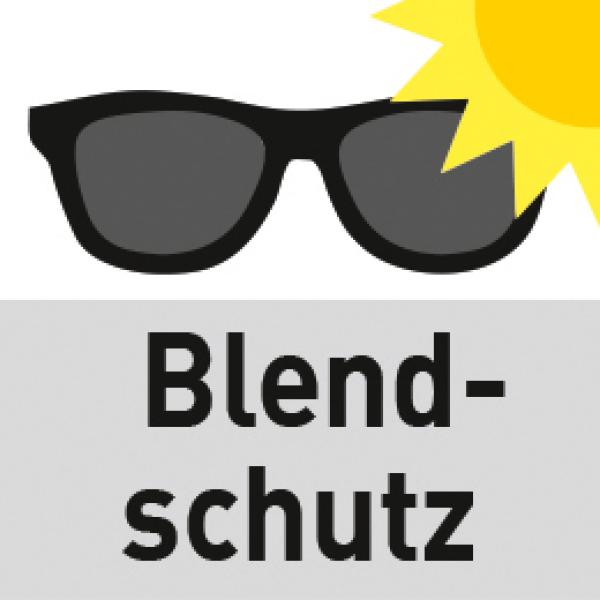 Schutzbrille, getönt, blau, Garten-, Waldarbeiten